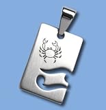 Stainless Steel Pendant - Etched Zodiac Design - Cancer , 0.00IN by Able Tooling