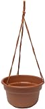 Duraco DCHB10 10-3/8-Inch Dura Cotta Hanging Basket