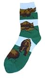 Bear Socks