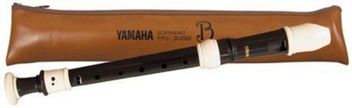Childrens Toyshop  Musical Instruments : Yamaha YRS302B Recorder