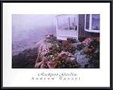 Art Poster Metal Framed Print - Rockport Garden - Artist: Andrew Basari- Poster Size: 24 X 18