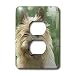 Dogs Cairn Terrier - Cairn Terrier - Light Switch Covers - 2 plug outlet cover