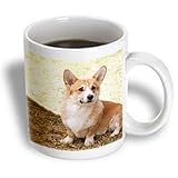 Dogs Corgi - Pembroke Welsh Corgi - Mugs