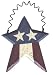 Americana Star Dangler