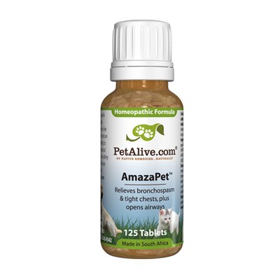 asthma medication