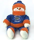 Florida Gators 10 Snowflake Friends - College Athletics Sports Merchandise