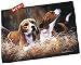 beagle20 - Beagles Beagle Dogs Indoor Outdoor Designer Doormat