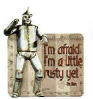 Wit and Wisdom Magnets Tin Man