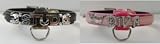 Beau Nouveau BNCOHW2CDHPC14 Hollywood II Collar - Center DRing - Hot Pink Camo - 11 -14 Inch