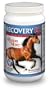Recovery EQ Powder, 2.2 lbs (1 Kg, 40 Days)