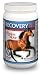   - Recovery EQ 1 KG