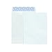 Columbian CO802 10x13-Inch Tyvek White Envelopes, 100 Count