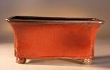 Bonsai Boy's Rectangle - Glazed Parisian Red<br>10.25x6.0x4.75