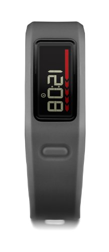 Garmin Vivofit Fitness Band - Slate