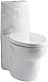 KOHLER K-14338-SMC-0 Empress Bouquet Design on Saile One-Piece Elongated Dual-Flush and Saile Quiet-Close Toilet Seat, White