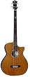 Michael Kelly Club Custom 4 String Acoustic Bass, Gloss Natural