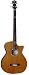 Michael Kelly Club Custom 4 String Acoustic Bass, Gloss Natural