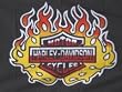 NEOPlex 3' x 5' Harley Davidson Flame Yellow Flag