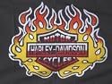 NEOPlex 3' x 5' Harley Davidson Flame Yellow Flag