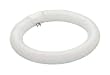 TCP 32032 - 32 Watt T6 Circular Fluorescent Light Bulb, 4-Pin, 9" Diameter