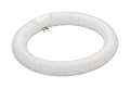 30 Watt Circline Circular Fluorescent Light Bulb / 2850K Color Temperature / 4-Pin T9 / 9 inch Diameter / 32030
