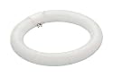 Osram Sylvania 20080 FC8T9/D/RS 22 Watt Circline T9 Lamp / 4-Pin / 8.25 in. diameter / Daylight
