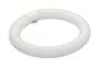 TCP 32030 - 32030 30W T9 CIRCLINE 2850K Circular T9 Fluorescent Tube Light Bulb