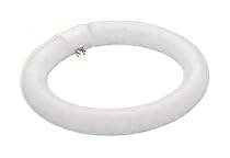 Osram Sylvania 20080 FC8T9/D/RS 22 Watt Circline T9 Lamp / 4-Pin / 8.25 in. diameter / Daylight