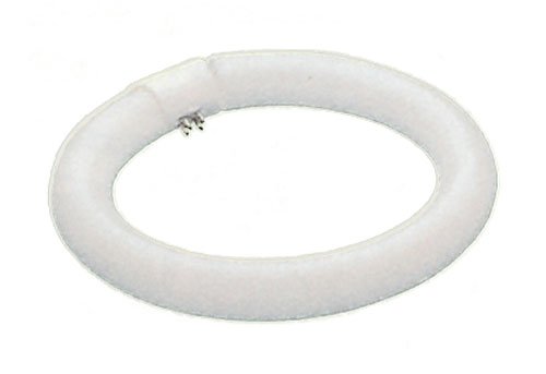 32 Watt Circline Circular Fluorescent Light Bulb / 4-Pin T9 / 12 diameter / Daylight 6500K FC12T9