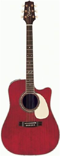 Childrens Toyshop  Musical Instruments : Takamine JJ325SRC John Jorgenson Signature Acoustic-Electric Guitar