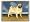 Pug
