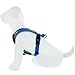 Pawtitas Reflective Dog Harness Padded Dog Harness Provides Comfort Control for a Walk or Running Great Pet Accessories Dog Vest S Small Bue Dog Harness