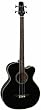 Takamine G-Series EGB2S-BK Acoustic/Electric Bass Guitar