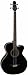 Takamine G-Series EGB2S-BK Acoustic/Electric Bass Guitar