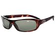Bolle Fang Sunglasses Dark Tortoise Frame w/Polarized Axis Lens
