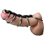 Strict Leather Gates of Hell Chastity Device