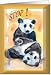 Birthday for teachers aide playful panda Card