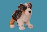 Steward-Australian Shepherd 8