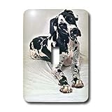 Dogs Great Dane - Great Dane - Light Switch Covers - single toggle switch