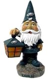 Philadephia Eagles 15 Solar Gnome NFL Football