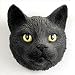 Short Hair Black Cat Magnet
