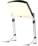 Day-Light Classic 10,000 LUX Bright Light Therapy Lamp