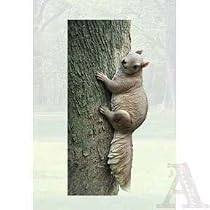 Squirrel Wall Art Indoor Outdoor Tree Yard Decoration