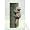 Squirrel Wall Art Indoor Outdoor Tree Yard Decoration