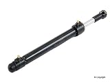 Genuine Convertible Top Hydraulic
