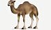 Schleich Dromedary Mare