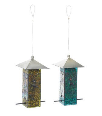 Bird Brain Square Glass of 2