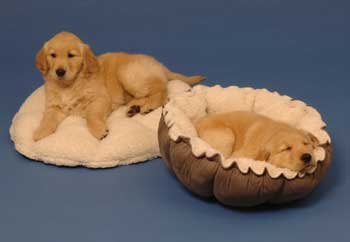 PRECISION PET SNOOZZY TEA CUP 27 inch