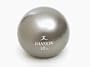 Danskin DA-1040R 10 lb. Weighted Toning Ball