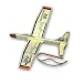 Folding Wing Glider